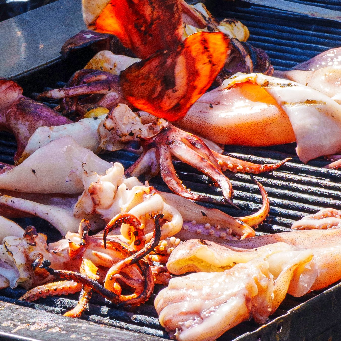 Grilled Octopus